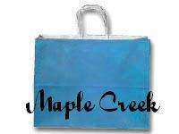 Large LAGOON BLUE Paper Gift Bags WHOLESALE Set of 10  