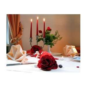 mydays Geschenkgutschein   Candle Light  Dinner für Zwei in Kyritz 