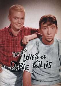 Many Loves Of Dobie Gillis DVD, 18 Disc Set  