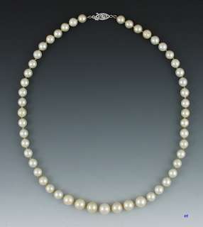 Lovely 14K White Gold Graduated Pearl Strand Necklace  