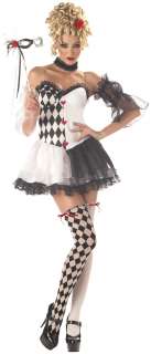 Le Belle Harlequin Adult Costume   Includes Dress, Sleeves, Thigh 
