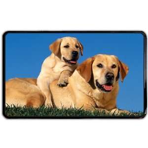  Dogs golden labrador Kindle Fire snap on Case / Cover for 