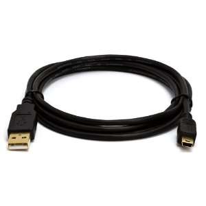   Type A Male / Mini B Male Cable, 5 Pin, Black, 6 ft