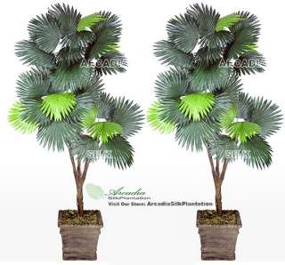 You are bidding on TWO 6 Fan Palm Tripled Artificial Trees