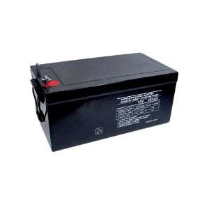   UB 8D AGM (45964)   12.00 Volt 250.00 AmpH SLA Battery