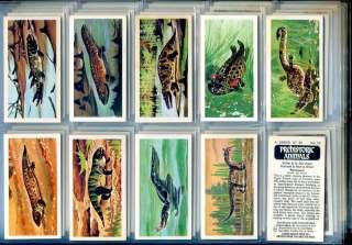   Bond Tea Card Set, PREHISTORIC ANIMALS, Dinosaur information  