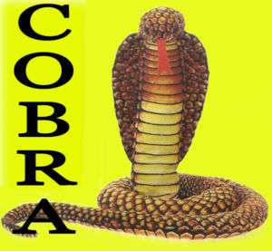 NEW Snake Cobra Stuffed Animal Plush Large Big Toys 49  
