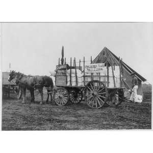 Photo Fort Sam Houston, Tex., 1911 1912 horse drawn commissary wagon 