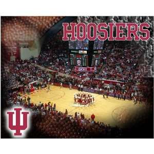    NCAA Indiana Hoosiers 500 Piece Arena Puzzle