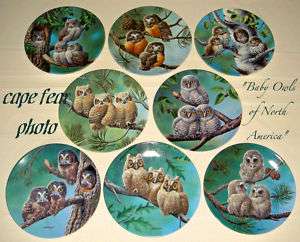 SET Thornbrugh NORTH AMERICAN Baby Owls Plates Beauty  