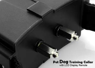 Dog Training Collar with LCD Display Remote  