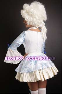 marie antoinette queen of france costume the belle in blue bring marie 