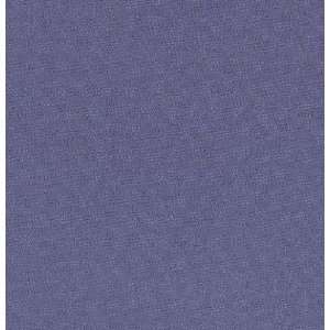 58 Wide Ribbed Rayon/Lycra Jersey Knit True Blue Fabric 