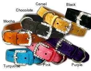 Signature Leather Suede Crystal Buckle Dog Collars  