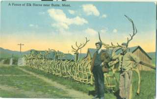 MONTANA   Butte, Fence of Elk Horns c.1912 POSTCARD  