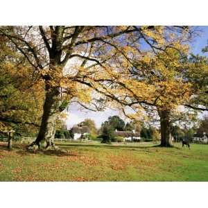 Cottages at Lyndhurst, New Forest, Hampshire, England, United Kingdom 