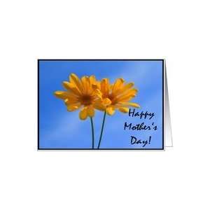  Happy Mothers Day yellow daisies Card Health & Personal 