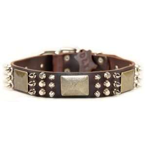 Dean & Tyler Leather Dog Collar Crazy Combo   High Quality Leather 