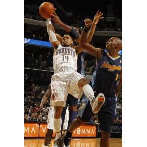   Bobcats D.J. Augustin and Nene by Kent Smith, 48x72