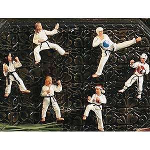  Martial Artist Magnet Sets   Male Karate Sports 