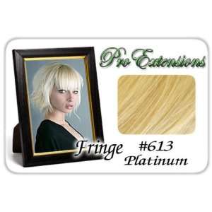  Platinum Pro Fringe Clip In Bangs   911591 Beauty