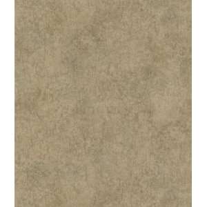   Mottled Texture with Crackle Wallpaper, 20.5 Inch by 396 Inch, Gold