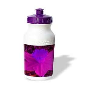   Easter Purple Pink Jonquil Flower   Water Bottles