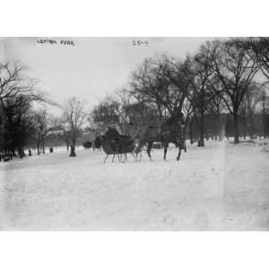 Horse drawn sleigh in Central Park, New York CREATED/PUBLISHED early 