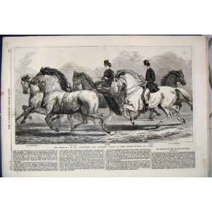   1868 Horse Show Agricultural Hall Islington Trotters