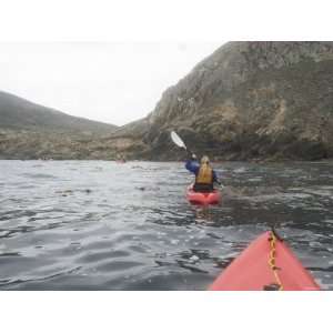 Woman Kayaking with Group of People at the Channel Islands, California 