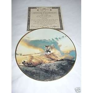  Cat Nap by Nancy Glazier Collector Plate 