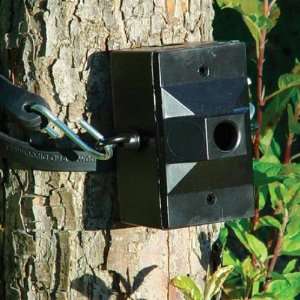 Troy Landscape Lighting R TM36 Tree Mount Box with 36 Strap in Black 