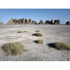  Desolate Landscape of Lac Abbe, Dotted with Limestone 