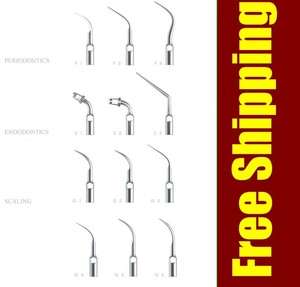 The best quality 24 scaling/perio/endo tips for EMS/woodpecker scaler 