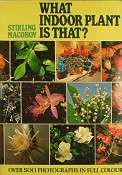 What Indoor Plant Is That?   Macoboy Stirling   Marlowes Books