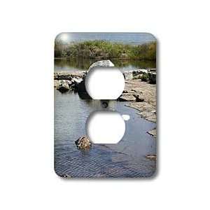   Egret Flying on the Coast   Light Switch Covers   2 plug outlet cover