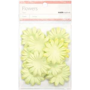  Kaisercraft Lime Paper Flowers, 5cm Arts, Crafts & Sewing
