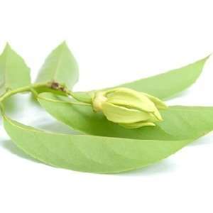  Patchouli Ylang Ylang soap fragrance oil pure uncut 