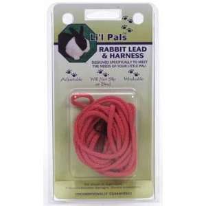    Top Quality C Nyl Rabbit Harness & Lead   Red