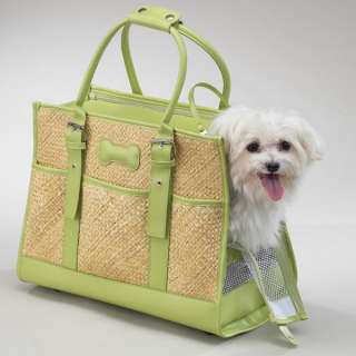 SMALL South Beach Straw Pet Carrier up to 15 lbs Green  