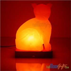  Gift of Life Salt Lamps Light Metaphysical Aromatherapy 