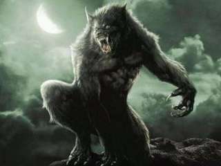 Shapeshift~morph~Werewolf Change Amulet Charm~become 1~beastly power 