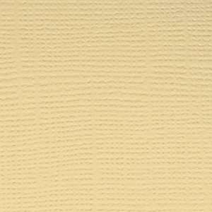  Bazzill Cardstock 12X12 Tapioca/Grass Cloth [Office 