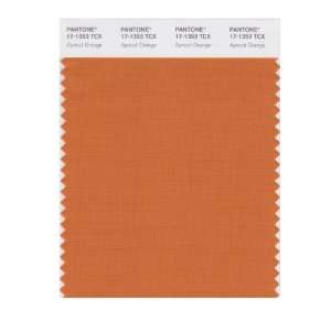  PANTONE SMART 17 1353X Color Swatch Card, Apricot Orange 