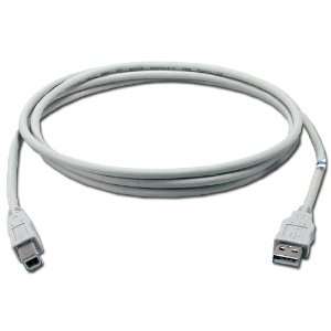 QVS 10ft USB 2.0 Certified 480Mbps Type A Male to B Male Beige Cable 