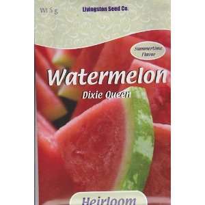  Dixie Queen Watermelon Seeds   5 grams   Heirloom Patio 