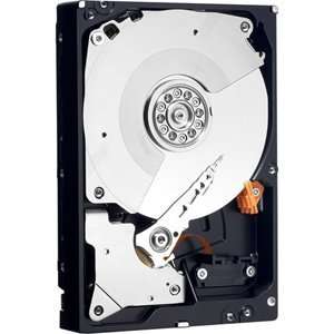  WESTERN DIGITAL, Western Digital WD2503ABYX 250 GB Internal 